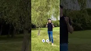 How to relocate a tree