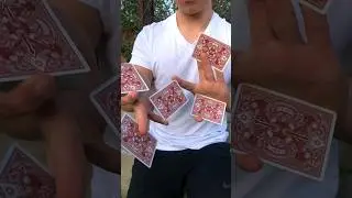 38 Seconds of Chill Cardistry #shorts #youtubeshorts #cardtricks #cardistry