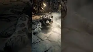 Tigress Frozen in Time: A Lifeless Warrior on an Abandoned Kung Fu Panda Stage #chinesehero