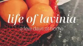 SILENT VLOG | A Few Days at Home | Preserved Oranges, End of Year Cleaning, First Time Making Bread