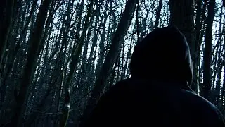 Sad Madona - new flesh