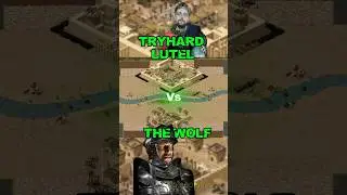 (Custom Lord) TryHard_Lutel VS Wolf - 20k Gold - Stronghold Crusader Definitive Edition #firefly
