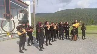 Estudiantina D 