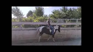 ranchwork yt WR21 Monteho ranch