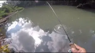 STREAM FISHING || CASTING IKAN MAHSEER