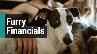 The business behind your pets | NJ Business Beat