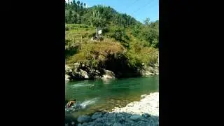 Wow what a dive ...