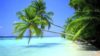 Good Size - The Pineapple Song
