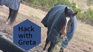 Go on a hack with me on greta ￼