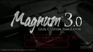 Magnum 3.0 Gun Custom Simulator 280
