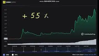 🚀  +     55   %  DODO   DODO   -  DODO to USD Chart