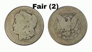 Coin Grading / Condition Basics | SOURCE : PCGS | Antique Relic