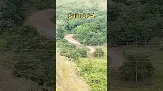 Псалом 24 #библия #salmo24 #шорты #youtubeshorts