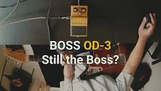 Is BOSS OD-3 Still The Boss?