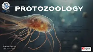 Introduction to Protozoology