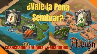 Vale la Pena Sembrar Frejoles y Zanahorias / Inversión y Ganancia / Albion Online