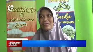 TULUNGAGUNG - Mantan Buruh Pabrik Sukses Bisnis Keripik Jamur Tiram