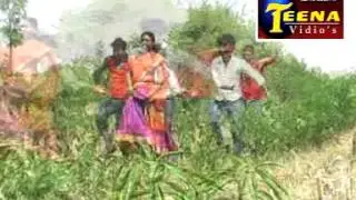sp nayak banjara tiger hits nandaram