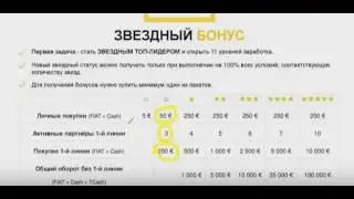 PLATINCOIN  Маркетинг План