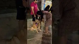 This is how I react wherever I see them🫶 The Most trusted creature on earth 🫡 Do you agree??