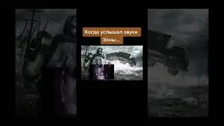 S.T.A.L.K.E.R. Звуки Зоны