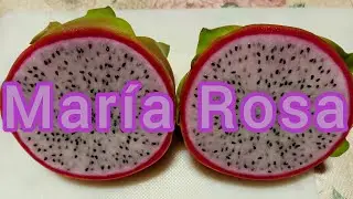 Primer fruto de la variedad Mar&iacute;a Rosa