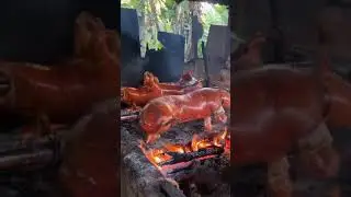PROSES PEMBUATAN BABI GULING