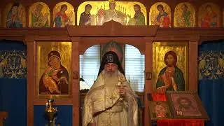 Кто воскресил Лазаря??? #СхиигуменГАВРИИЛ (Виноградов-Лакербая) #записьПРОПОВЕДИ