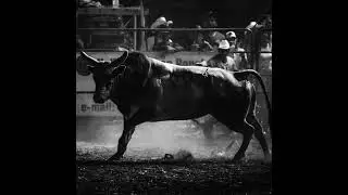[FREE] Country x KNG EGO Type Beat 