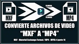 Convert mxf video files to mp4 - Filmora 14