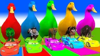 5 Giant Duck Cartoon,Cow,Elephant,Tiger,Lion,Dinosaur,Paint Wild Animals Crossing Fountain Animation