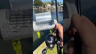 Tiny BBQ Grill 🍗🎣 #fishing #food #shorts #bbq