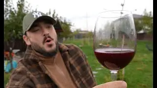 Cum se face VINUL adevărat (pentru începători) (metoda unui vinificator, pas cu pas)