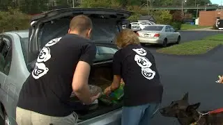 On National Pet Hunger Awareness Day, a local shelter spent the morning helping families in need