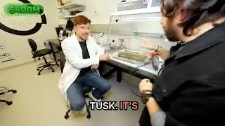 Bringing Back the Mammoth: De-Extinction Technology