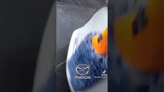 Jak prawidłowo umyć białe lub czarne auto? cz.1