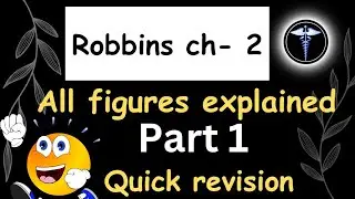 The Pathology Puzzle:Rapid Revision with Robbins(2.1-2.10)