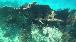 Snorkeling Biscayne National Park 🐠 | Explore the Mandalay Shipwreck with BNPI