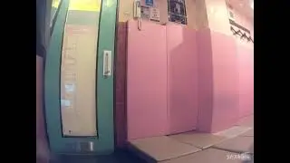 米津玄師／LOSER【うたスキ動画】1年ぶりに歌ってみた…！ #karaoke #カラオケ #歌ってみた #うたってみた