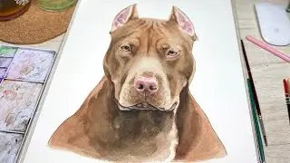 Pitbull en acuarela, c&aacute;mara r&aacute;pida. (Pitbull watercolor Timelapse). arteflumina por Vanessa R&iacute;os
