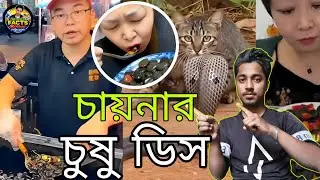 China's Chushu Dish New Facts Video Interesting Facts Video in Bengali 2026@SubrataFectofficial 