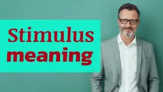 Stimulus | Definition of stimulus