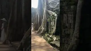 Taprom temple is amzing ( Cambodia 🇰🇭) #taprohmtemple #amazing #ancienttemple #foryou