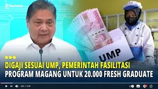 Digaji Sesuai UMP, Pemerintah Fasilitasi Program Magang Untuk 20.000 Fresh Graduate
