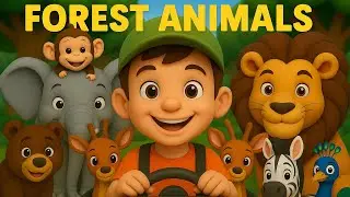 Animal Friends in the Forest I Rhymes for Kids