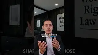 Can you still sue for discrimination if your boss is same race or gender as you?