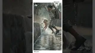 cute little dog 🐶 Help chota bacha #ai #cartoon #animals #trending