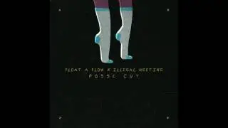 Float a Flow & Illegal Meeting - POSSE CUT (prod.GSQ)