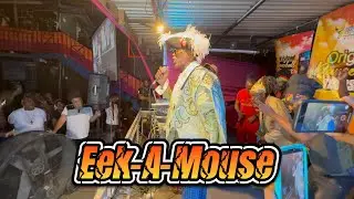 Легенда регги Eek-A-Mouse уничтожил Rub A Dub в четверг | Обязательно к просмотру | Живое выступл...