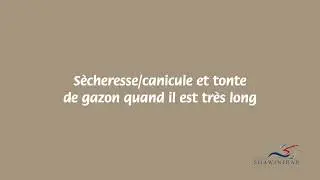 Entretien durable du gazon - S&egrave;cheresse, canicule et tonte de gazon